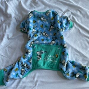 Peanuts Blue and Green Snoopy Footie